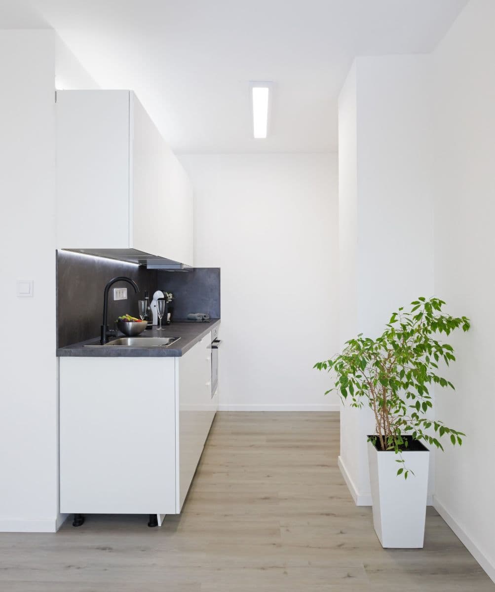 1 bedroom with open-plan kitchen flat to rent, 47 m², Podjavorinské, Prague, Prague 1 bedroom with open-plan kitchen flat to rent, 47 m², Podjavorinské, Prague, Prague