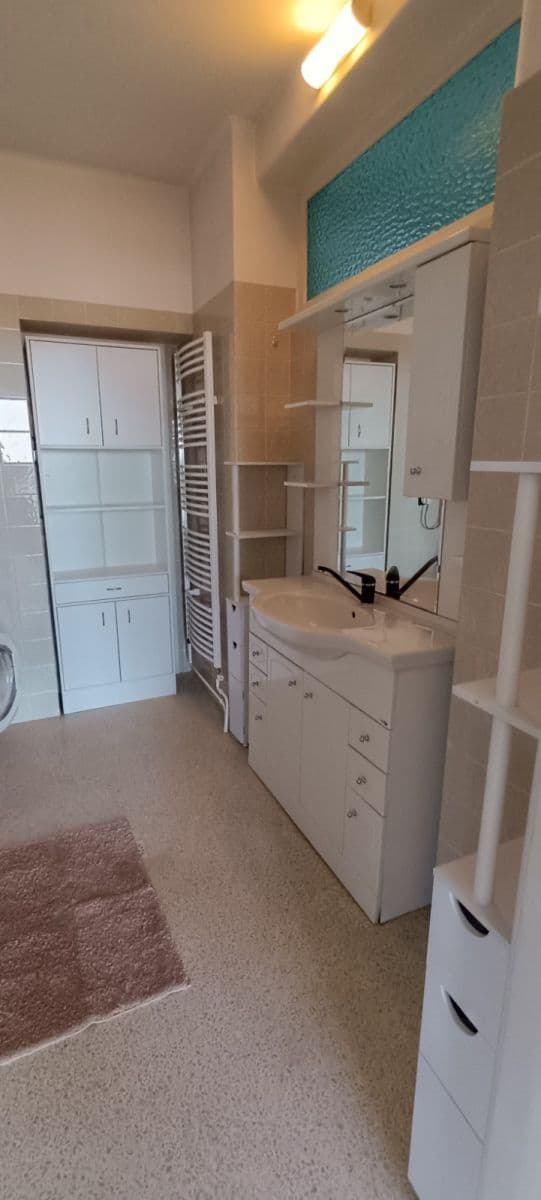 4 bedroom with open-plan kitchen flat to rent, 150 m², Nivky, Brno, Jihomoravský Region 4 bedroom with open-plan kitchen flat to rent, 150 m², Nivky, Brno, Jihomoravský Region