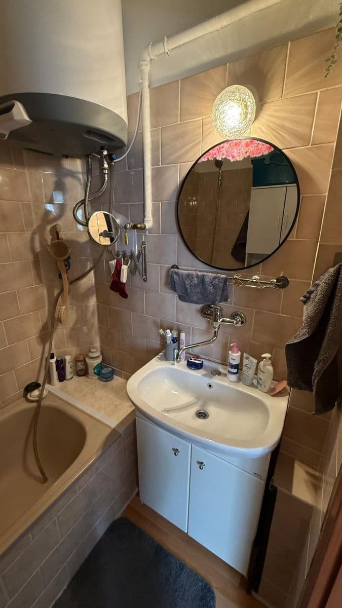 1 bedroom with open-plan kitchen flat to rent, 45 m², Na Rokytce, Prague, Prague 1 bedroom with open-plan kitchen flat to rent, 45 m², Na Rokytce, Prague, Prague