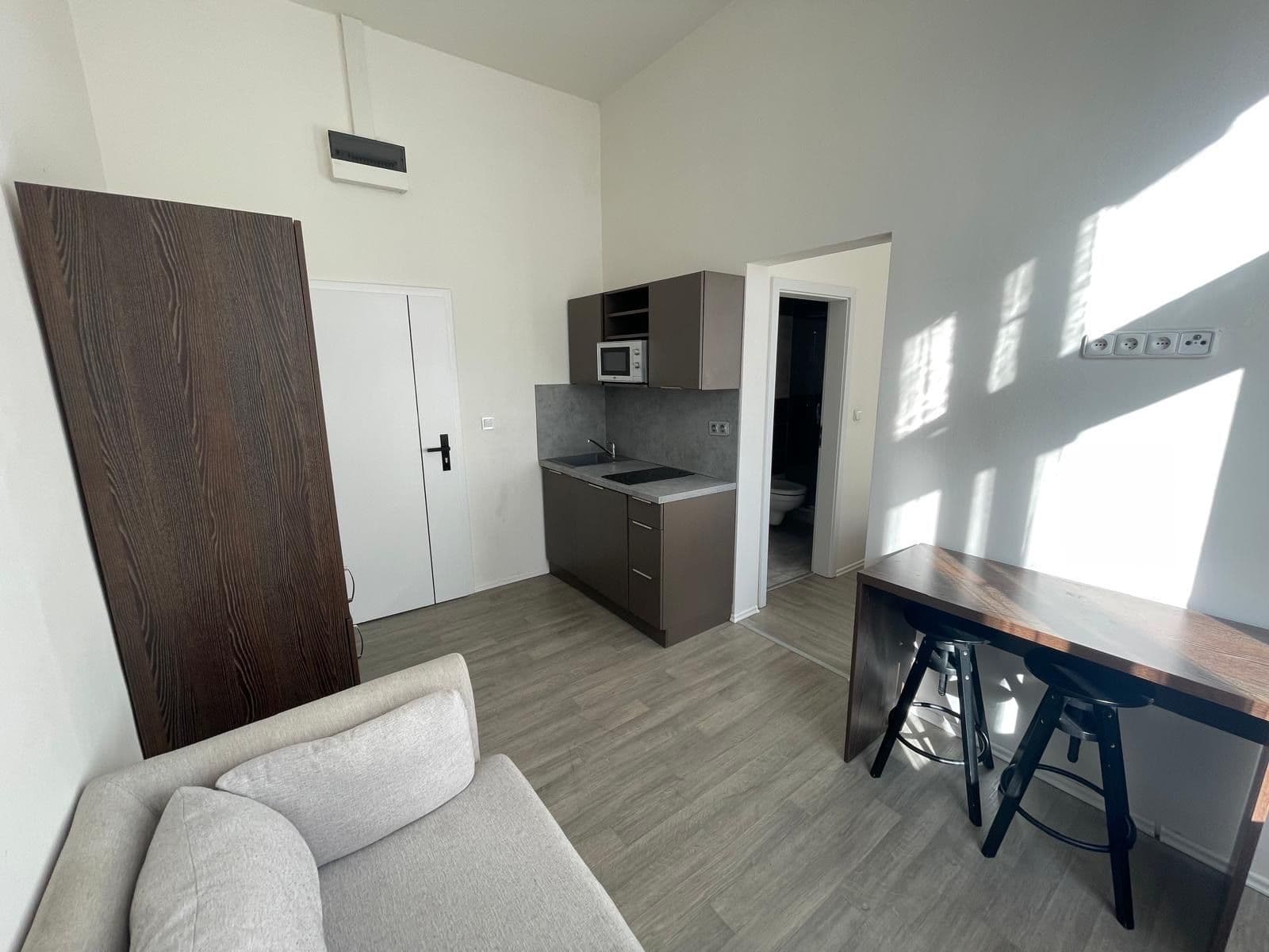 1 bedroom with open-plan kitchen flat to rent, 29 m², Sokolská, Prague, Prague 1 bedroom with open-plan kitchen flat to rent, 29 m², Sokolská, Prague, Prague