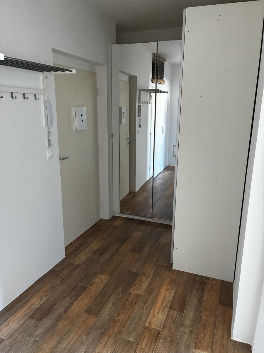1 bedroom with open-plan kitchen flat to rent, 56 m², K Netlukám, Prague, Prague 1 bedroom with open-plan kitchen flat to rent, 56 m², K Netlukám, Prague, Prague