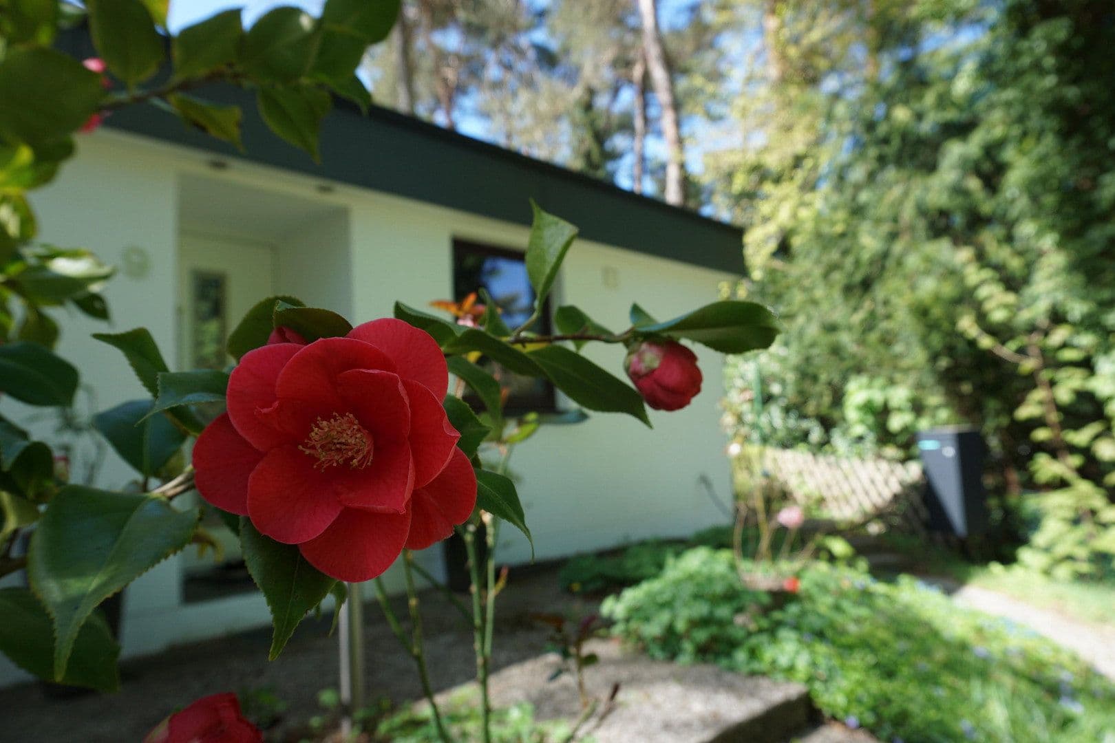 house for sale, 123 m², Hamburg, Hamburg house for sale, 123 m², Hamburg, Hamburg