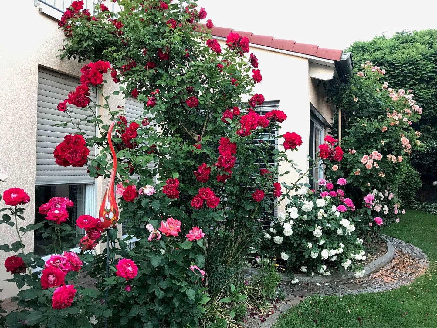 house for sale, 139 m², Reichertshofen, Bavaria house for sale, 139 m², Reichertshofen, Bavaria