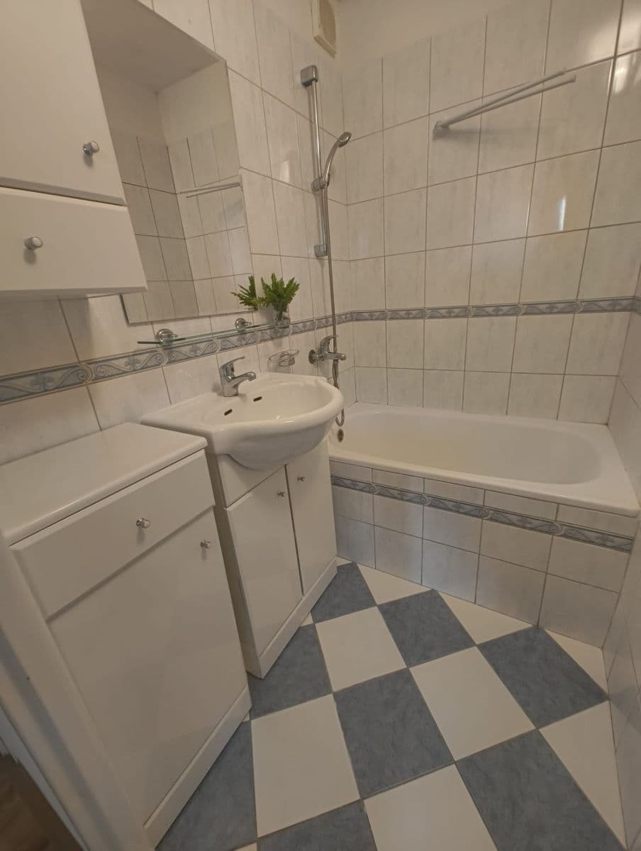 1 bedroom with open-plan kitchen flat to rent, 43 m², Berlínská, Tábor, Jihočeský Region 1 bedroom with open-plan kitchen flat to rent, 43 m², Berlínská, Tábor, Jihočeský Region