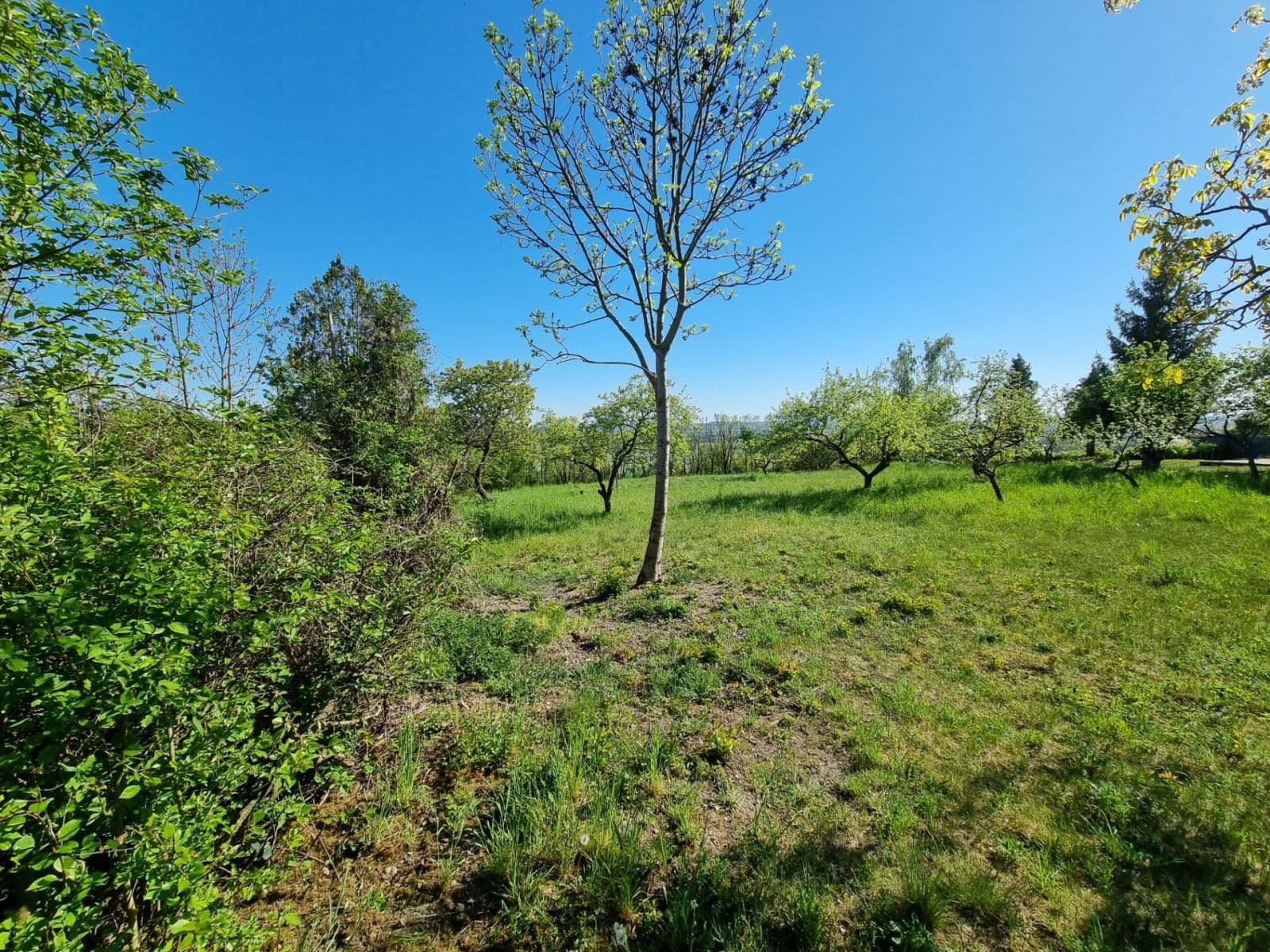 plot for sale, 998 m², Hoštka, Ústecký Region plot for sale, 998 m², Hoštka, Ústecký Region