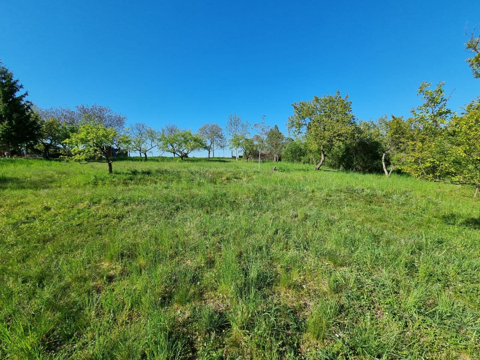 plot for sale, 998 m², Hoštka, Ústecký Region plot for sale, 998 m², Hoštka, Ústecký Region