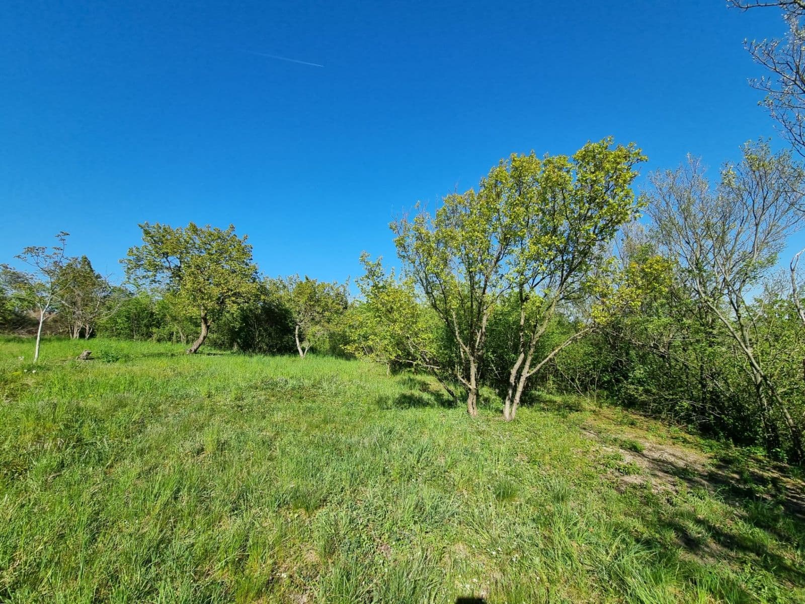 plot for sale, 998 m², Hoštka, Ústecký Region plot for sale, 998 m², Hoštka, Ústecký Region