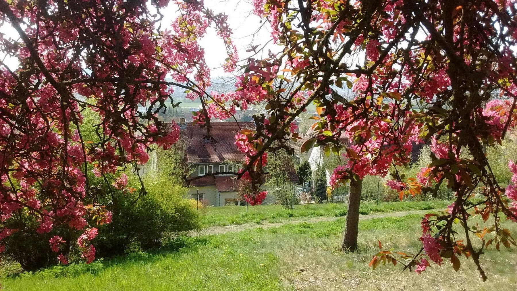 house for sale, 223 m², Bad Neustadt an der Saale, Bavaria house for sale, 223 m², Bad Neustadt an der Saale, Bavaria