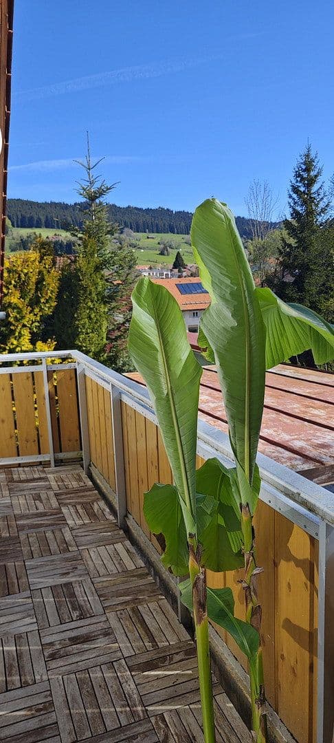 house for sale, 135 m², Weitnau, Bavaria house for sale, 135 m², Weitnau, Bavaria