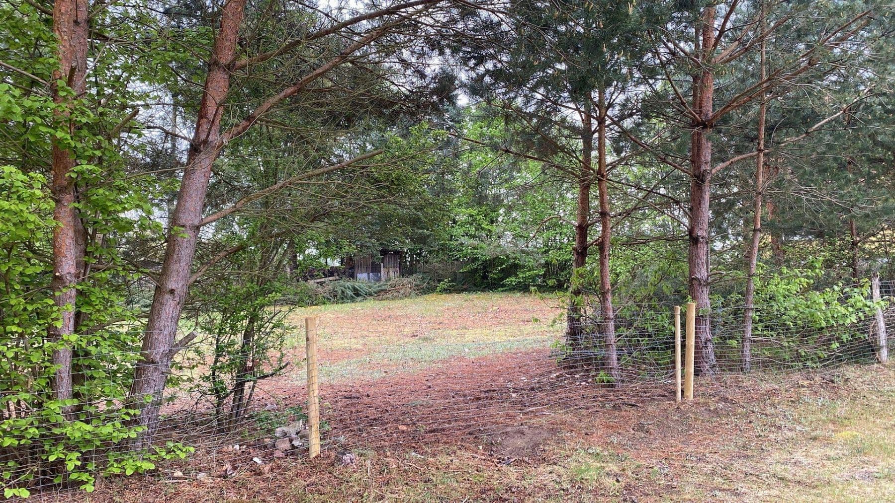 plot for sale, 1,254 m², Löwenberger Land, Brandenburg plot for sale, 1,254 m², Löwenberger Land, Brandenburg