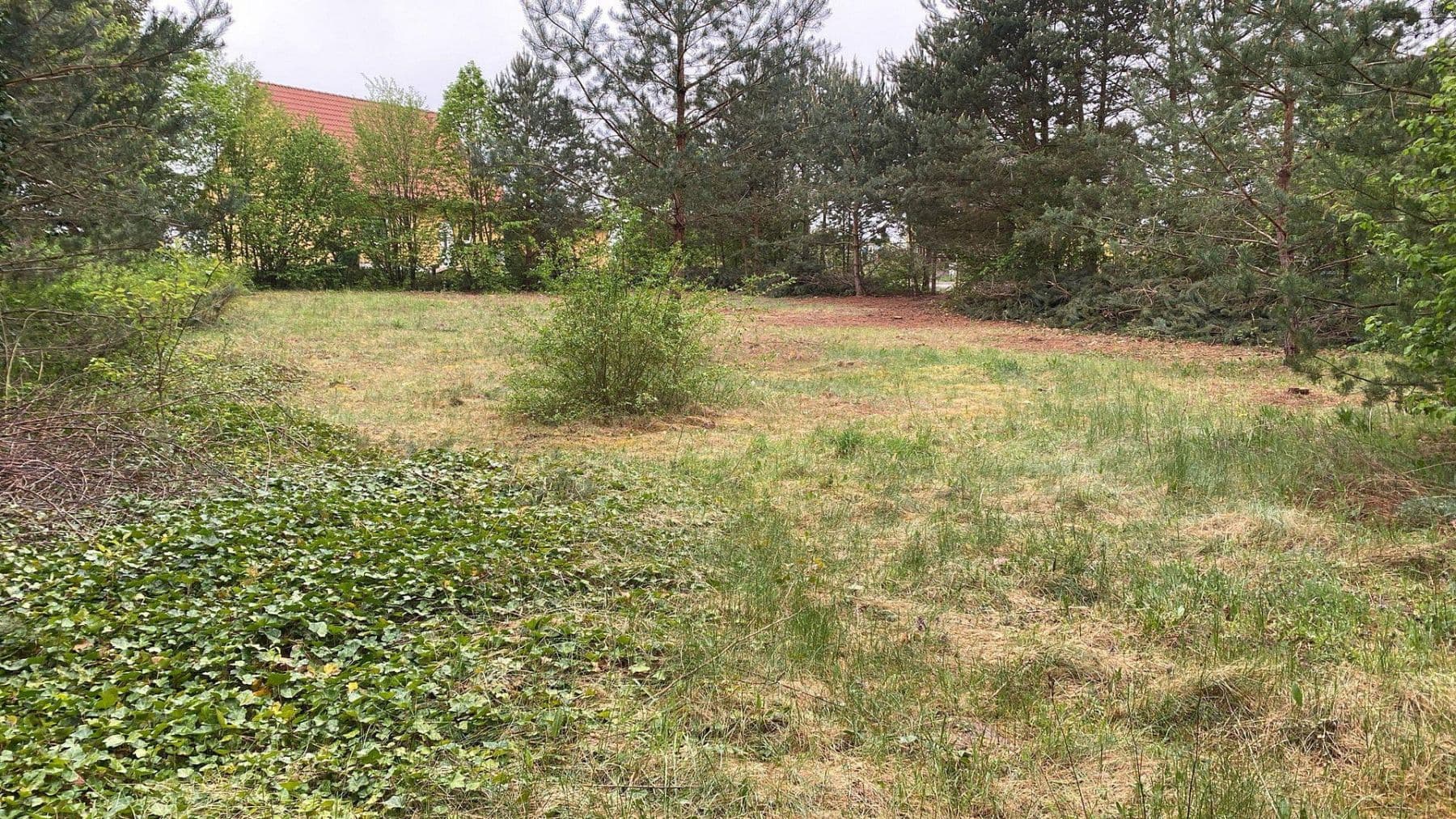 plot for sale, 1,254 m², Löwenberger Land, Brandenburg plot for sale, 1,254 m², Löwenberger Land, Brandenburg