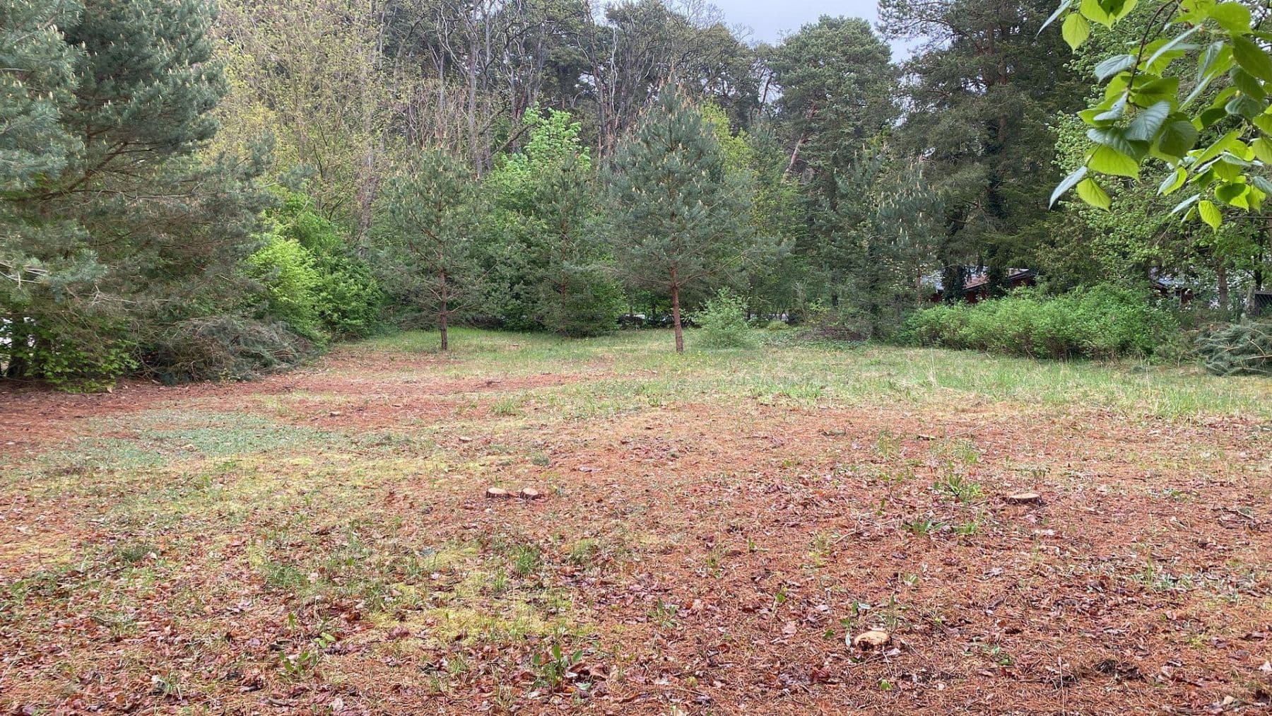 plot for sale, 1,254 m², Löwenberger Land, Brandenburg plot for sale, 1,254 m², Löwenberger Land, Brandenburg