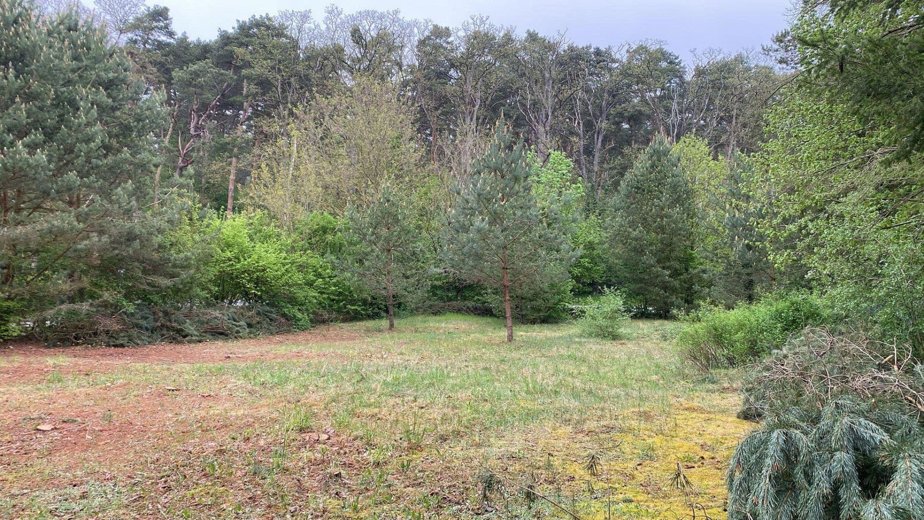 plot for sale, 1,254 m², Löwenberger Land, Brandenburg plot for sale, 1,254 m², Löwenberger Land, Brandenburg