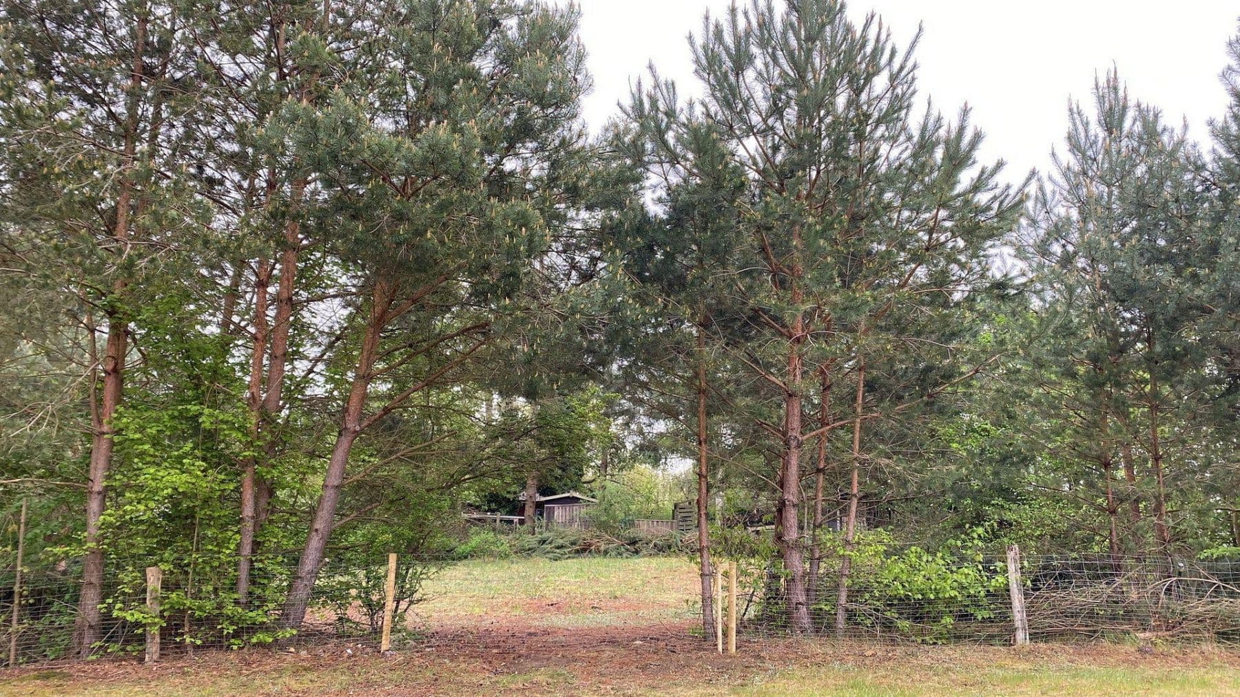 plot for sale, 1,254 m², Löwenberger Land, Brandenburg plot for sale, 1,254 m², Löwenberger Land, Brandenburg