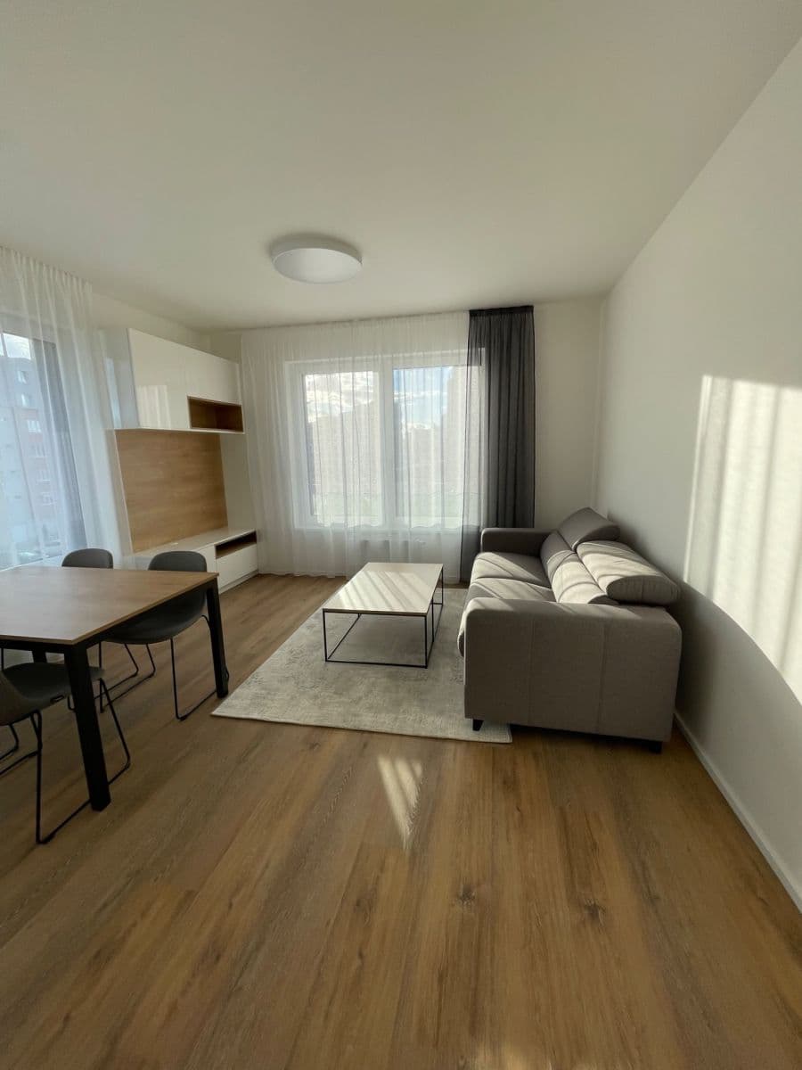1 bedroom with open-plan kitchen flat to rent, 56 m², Na Palouku, Prague, Prague 1 bedroom with open-plan kitchen flat to rent, 56 m², Na Palouku, Prague, Prague