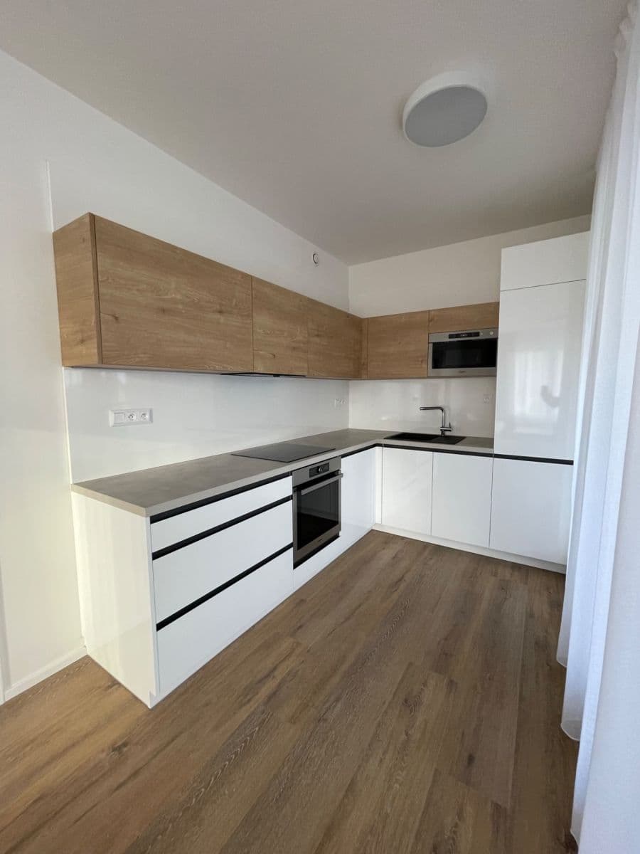1 bedroom with open-plan kitchen flat to rent, 56 m², Na Palouku, Prague, Prague 1 bedroom with open-plan kitchen flat to rent, 56 m², Na Palouku, Prague, Prague