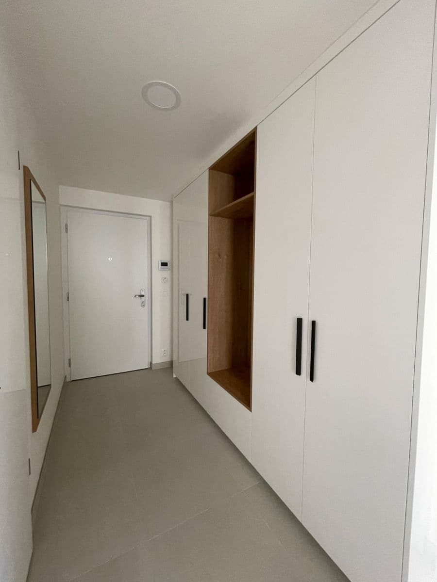 1 bedroom with open-plan kitchen flat to rent, 56 m², Na Palouku, Prague, Prague 1 bedroom with open-plan kitchen flat to rent, 56 m², Na Palouku, Prague, Prague
