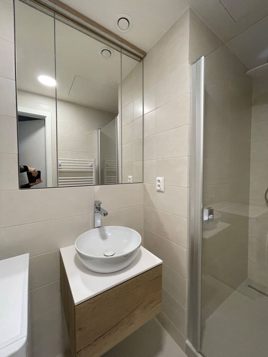 1 bedroom with open-plan kitchen flat to rent, 56 m², Na Palouku, Prague, Prague 1 bedroom with open-plan kitchen flat to rent, 56 m², Na Palouku, Prague, Prague