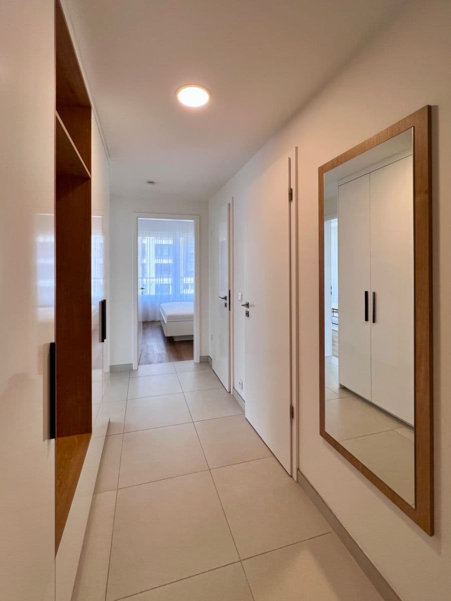 1 bedroom with open-plan kitchen flat to rent, 55 m², Na Palouku, Prague, Prague 1 bedroom with open-plan kitchen flat to rent, 55 m², Na Palouku, Prague, Prague