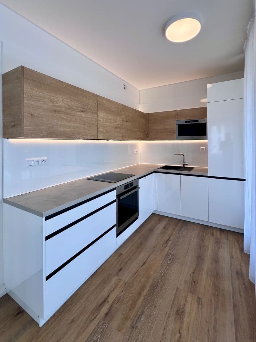1 bedroom with open-plan kitchen flat to rent, 55 m², Na Palouku, Prague, Prague 1 bedroom with open-plan kitchen flat to rent, 55 m², Na Palouku, Prague, Prague