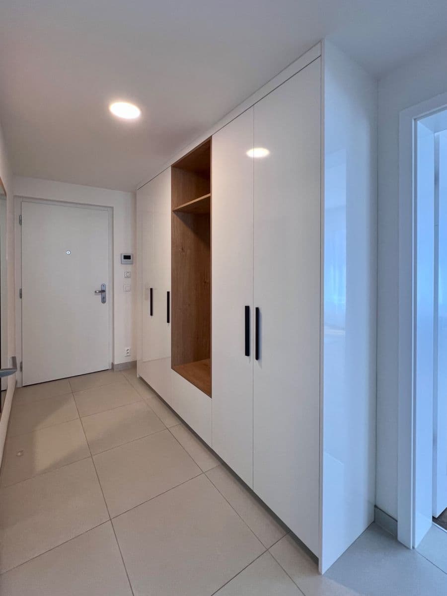1 bedroom with open-plan kitchen flat to rent, 55 m², Na Palouku, Prague, Prague 1 bedroom with open-plan kitchen flat to rent, 55 m², Na Palouku, Prague, Prague