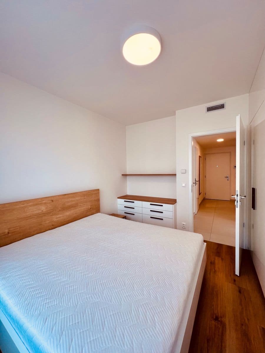 1 bedroom with open-plan kitchen flat to rent, 55 m², Na Palouku, Prague, Prague 1 bedroom with open-plan kitchen flat to rent, 55 m², Na Palouku, Prague, Prague