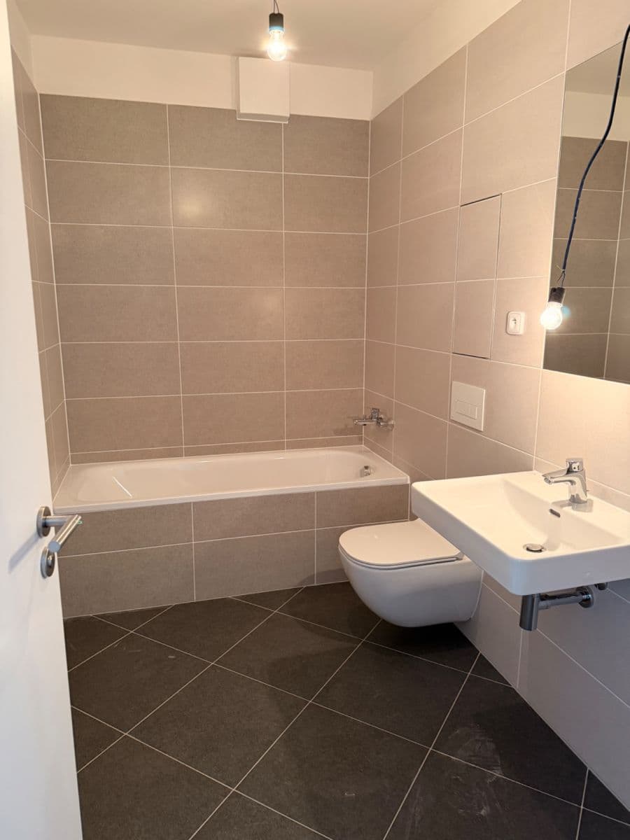 1 bedroom with open-plan kitchen flat to rent, 45 m², Pod Harfou, Prague, Prague 1 bedroom with open-plan kitchen flat to rent, 45 m², Pod Harfou, Prague, Prague