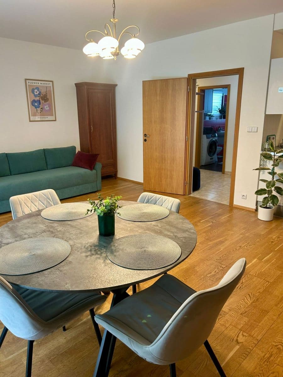 1 bedroom with open-plan kitchen flat to rent, 61 m², Lindleyova, Prague, Prague 1 bedroom with open-plan kitchen flat to rent, 61 m², Lindleyova, Prague, Prague