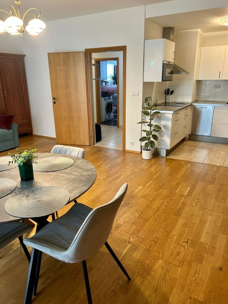 1 bedroom with open-plan kitchen flat to rent, 61 m², Lindleyova, Prague, Prague 1 bedroom with open-plan kitchen flat to rent, 61 m², Lindleyova, Prague, Prague