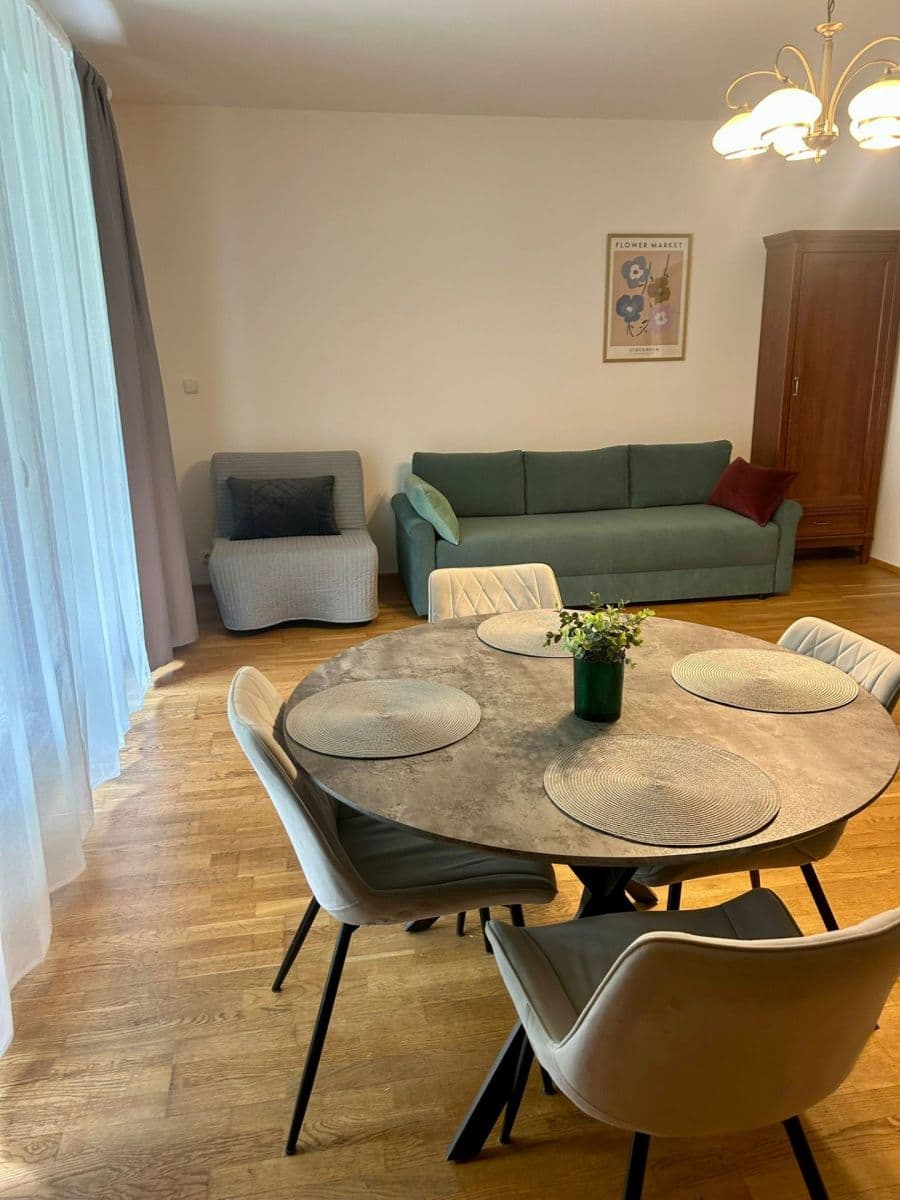 1 bedroom with open-plan kitchen flat to rent, 62 m², Lindleyova, Prague, Prague 1 bedroom with open-plan kitchen flat to rent, 62 m², Lindleyova, Prague, Prague