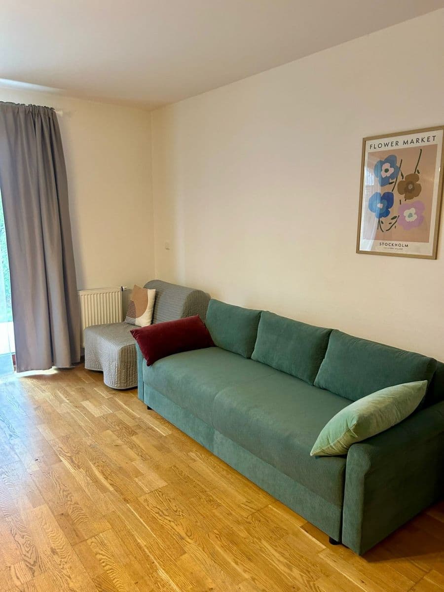 1 bedroom with open-plan kitchen flat to rent, 62 m², Lindleyova, Prague, Prague 1 bedroom with open-plan kitchen flat to rent, 62 m², Lindleyova, Prague, Prague