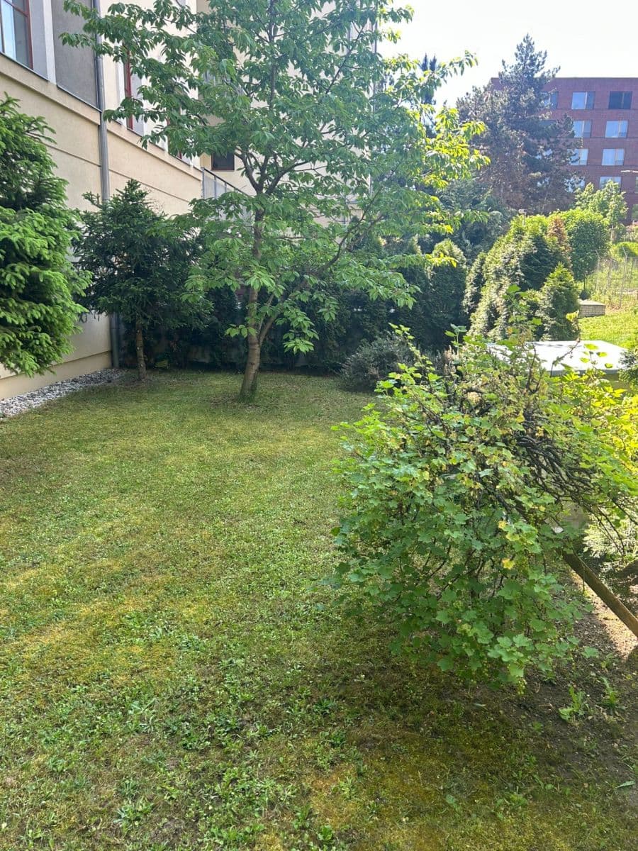 1 bedroom with open-plan kitchen flat to rent, 62 m², Lindleyova, Prague, Prague 1 bedroom with open-plan kitchen flat to rent, 62 m², Lindleyova, Prague, Prague