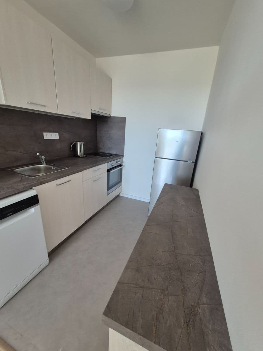 1 bedroom with open-plan kitchen flat to rent, 46 m², Milánská, Prague, Prague 1 bedroom with open-plan kitchen flat to rent, 46 m², Milánská, Prague, Prague