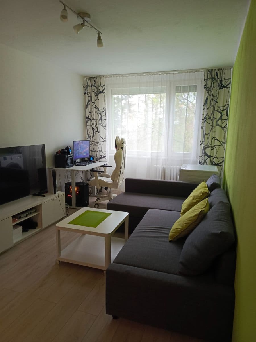 1 bedroom with open-plan kitchen flat to rent, 40 m², Na Jarově, Prague, Prague 1 bedroom with open-plan kitchen flat to rent, 40 m², Na Jarově, Prague, Prague