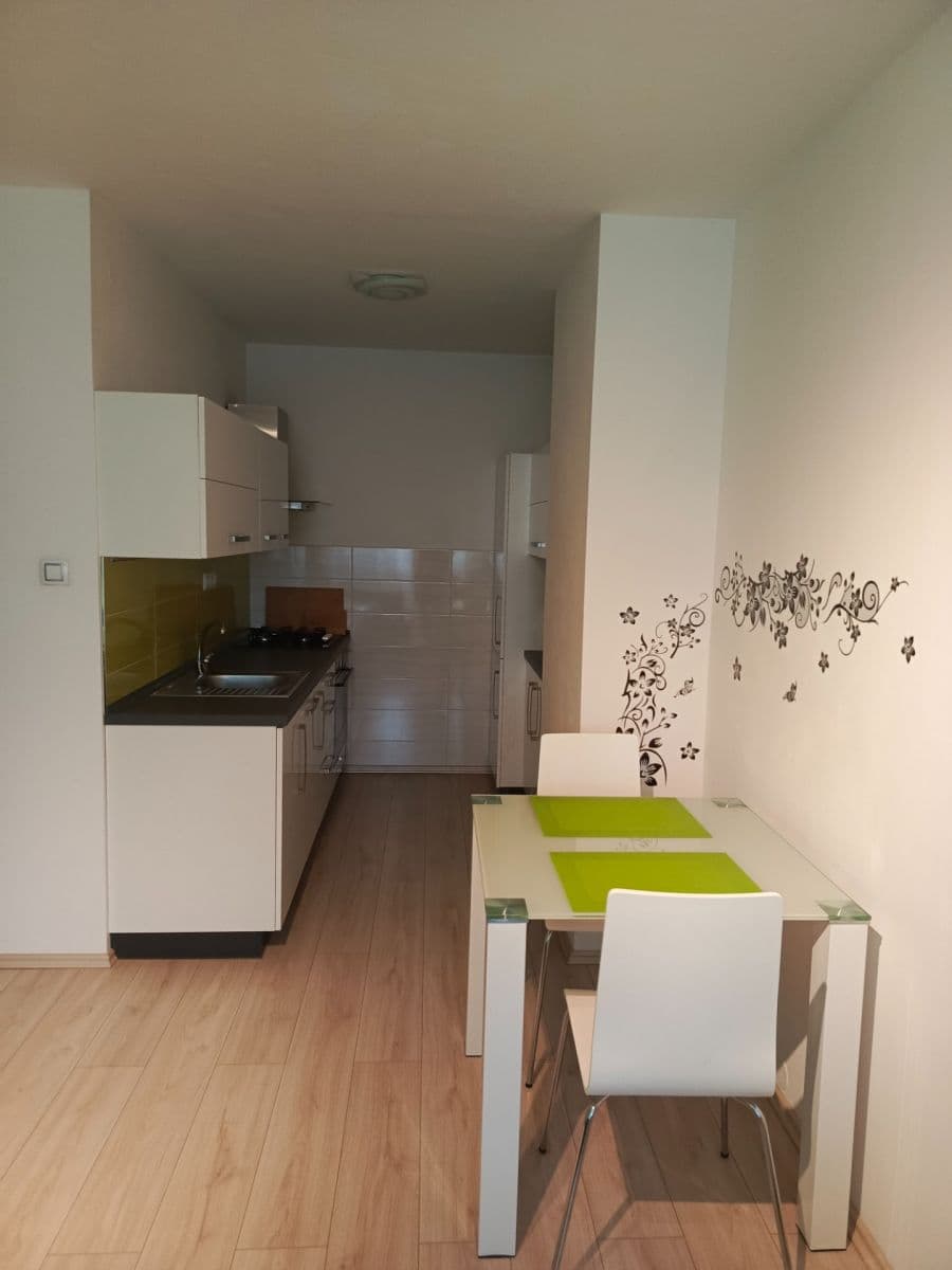 1 bedroom with open-plan kitchen flat to rent, 40 m², Na Jarově, Prague, Prague 1 bedroom with open-plan kitchen flat to rent, 40 m², Na Jarově, Prague, Prague