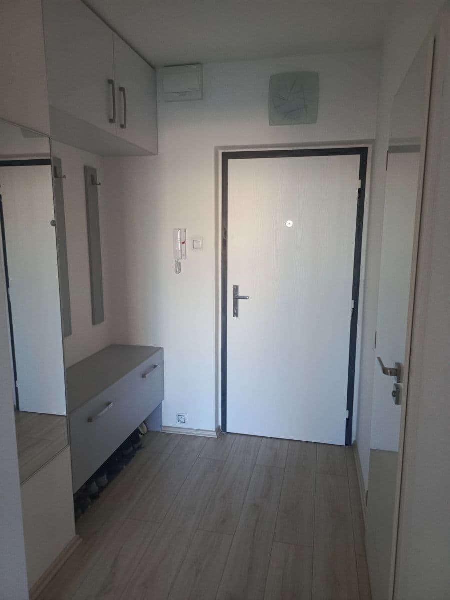 1 bedroom with open-plan kitchen flat to rent, 40 m², Na Jarově, Prague, Prague 1 bedroom with open-plan kitchen flat to rent, 40 m², Na Jarově, Prague, Prague