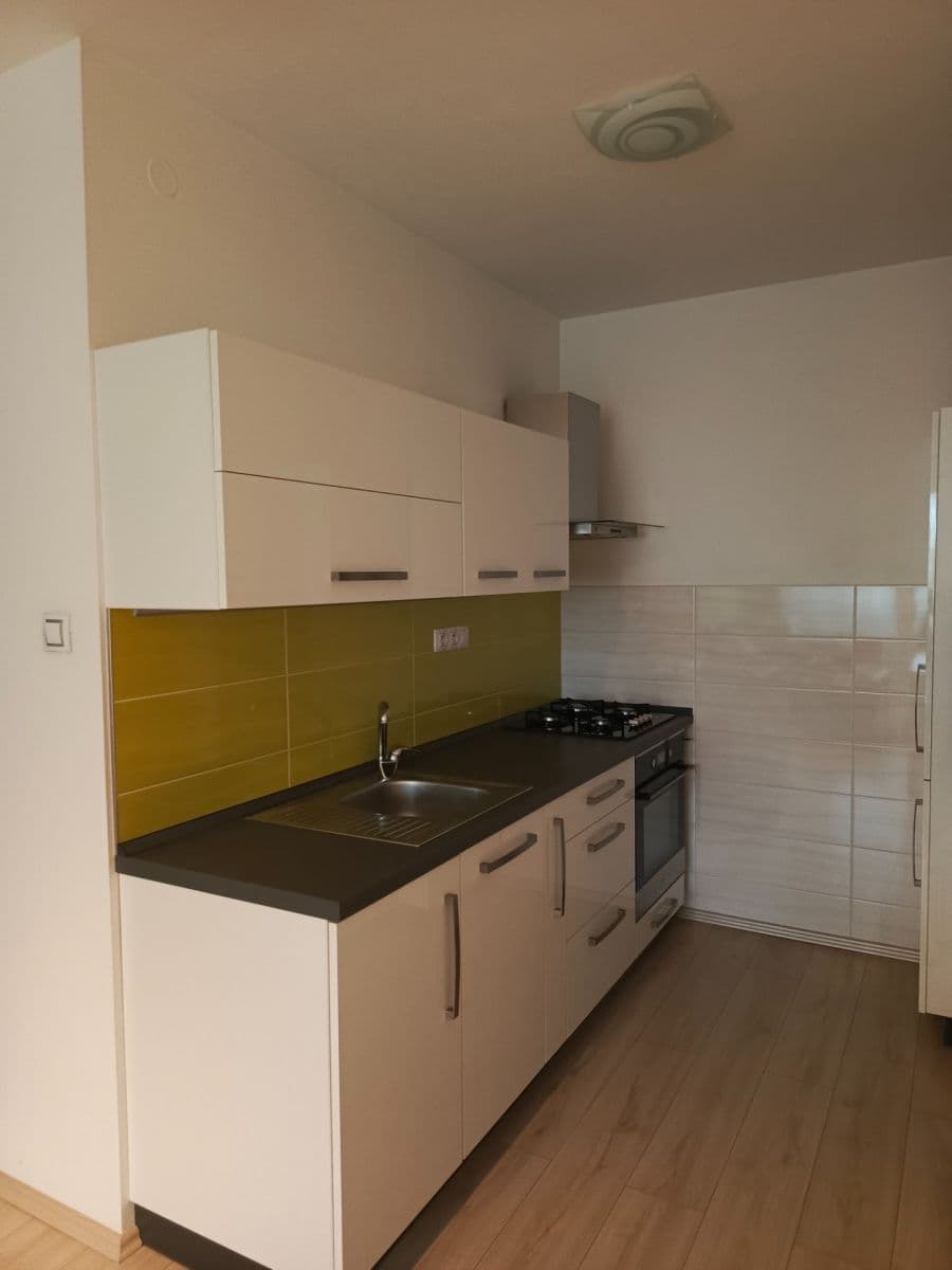 1 bedroom with open-plan kitchen flat to rent, 40 m², Na Jarově, Prague, Prague 1 bedroom with open-plan kitchen flat to rent, 40 m², Na Jarově, Prague, Prague
