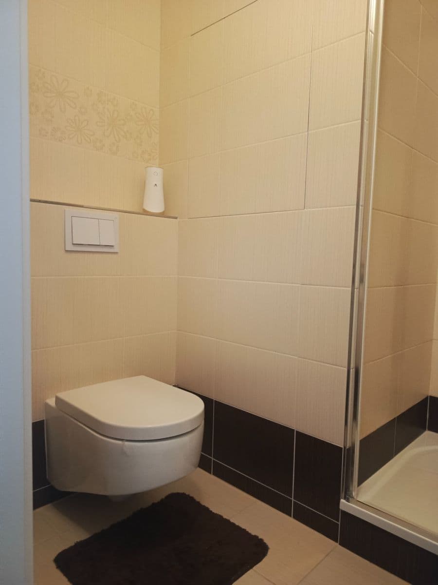 1 bedroom with open-plan kitchen flat to rent, 40 m², Na Jarově, Prague, Prague 1 bedroom with open-plan kitchen flat to rent, 40 m², Na Jarově, Prague, Prague