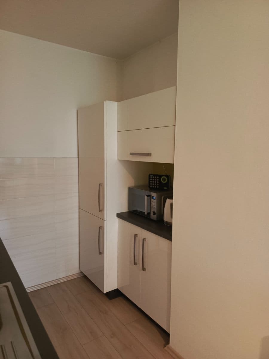 1 bedroom with open-plan kitchen flat to rent, 40 m², Na Jarově, Prague, Prague 1 bedroom with open-plan kitchen flat to rent, 40 m², Na Jarově, Prague, Prague