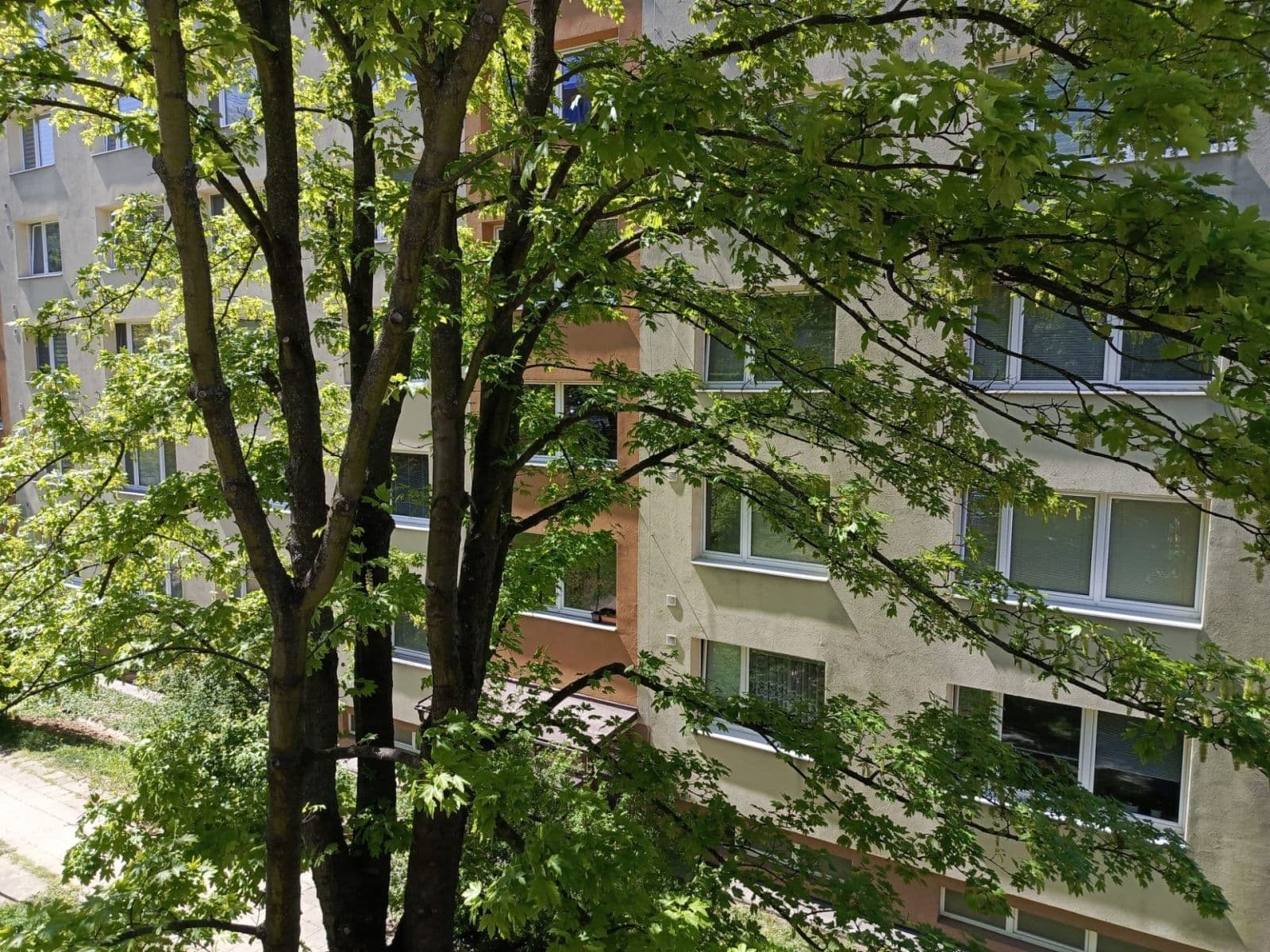3 bedroom flat for sale, 73 m², Slezská, Zlín, Zlínský Region 3 bedroom flat for sale, 73 m², Slezská, Zlín, Zlínský Region