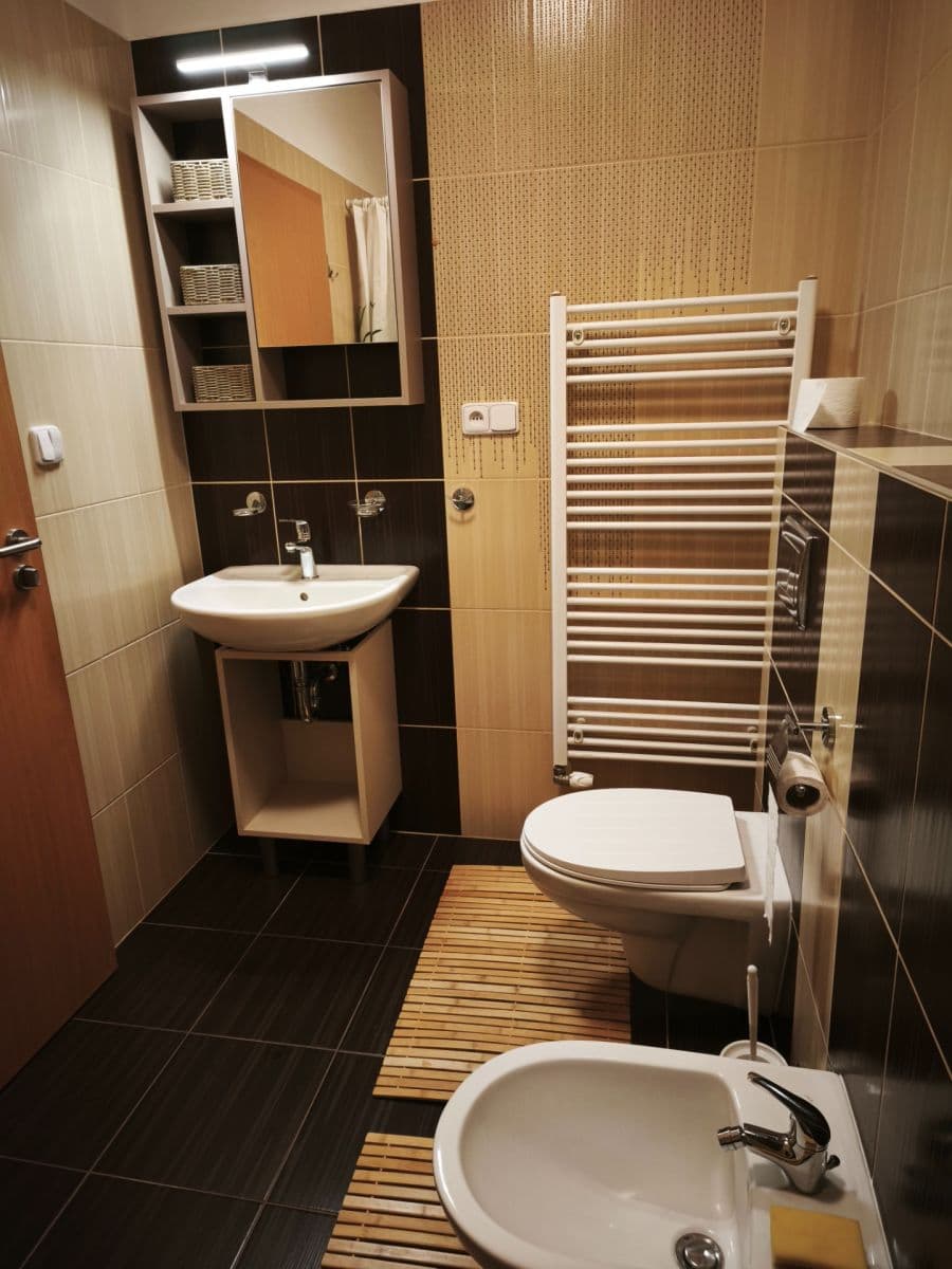 Studio flat to rent, 45 m², Kařez, Plzeňský Region Studio flat to rent, 45 m², Kařez, Plzeňský Region