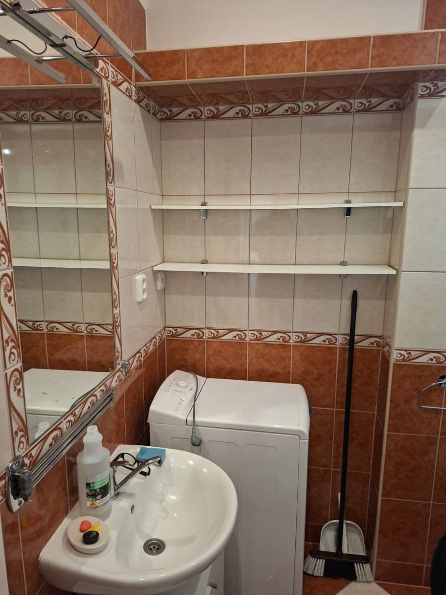 1 bedroom with open-plan kitchen flat to rent, 46 m², Holandská, Prague, Prague 1 bedroom with open-plan kitchen flat to rent, 46 m², Holandská, Prague, Prague