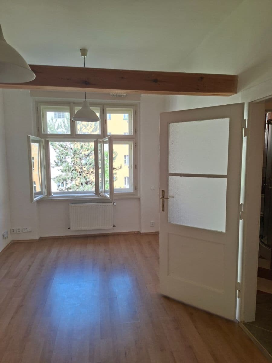 1 bedroom with open-plan kitchen flat to rent, 46 m², Holandská, Prague, Prague 1 bedroom with open-plan kitchen flat to rent, 46 m², Holandská, Prague, Prague