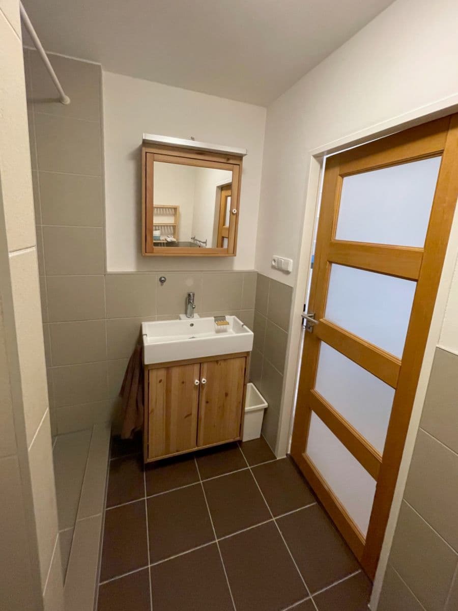 1 bedroom with open-plan kitchen flat to rent, 43 m², Rezlerova, Prague, Prague 1 bedroom with open-plan kitchen flat to rent, 43 m², Rezlerova, Prague, Prague