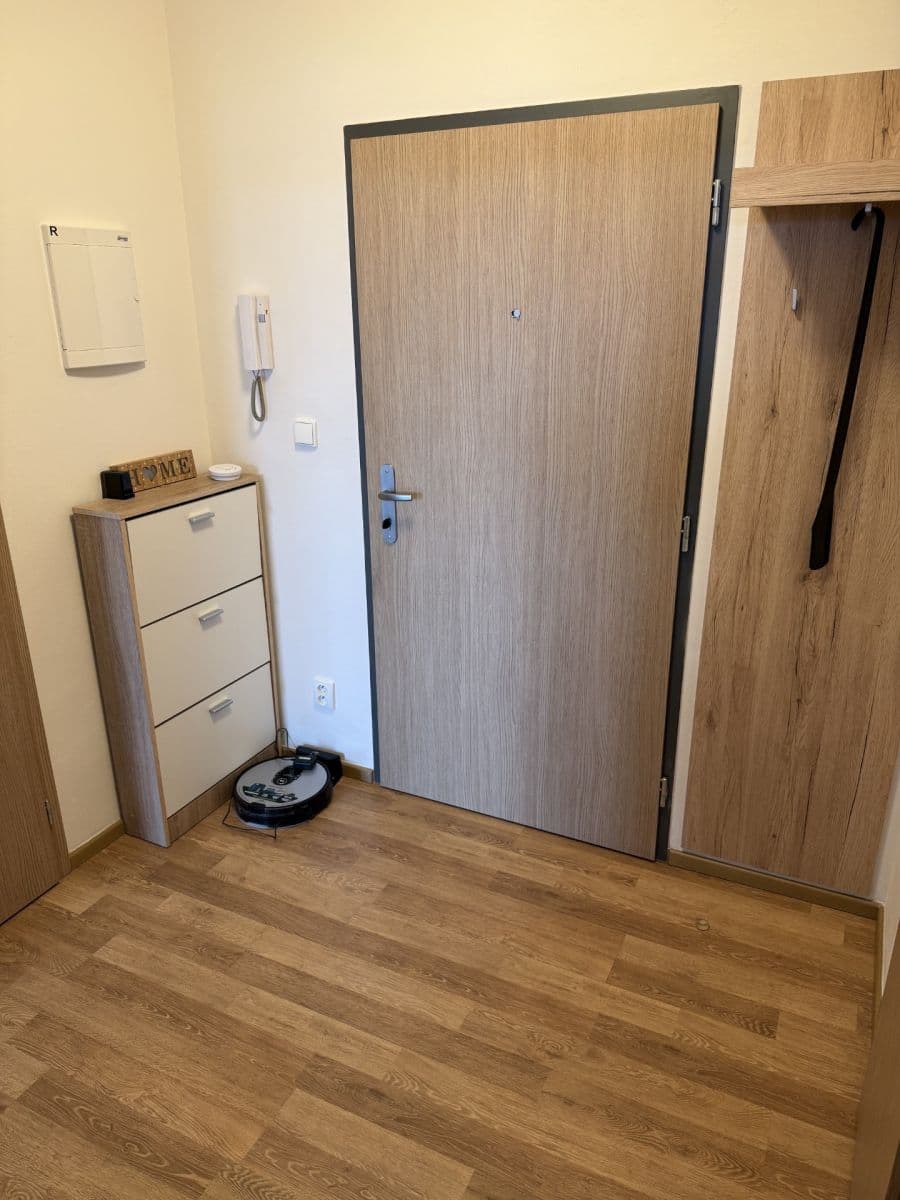 1 bedroom with open-plan kitchen flat to rent, 47 m², Rychtáře Petříka, Prague, Prague 1 bedroom with open-plan kitchen flat to rent, 47 m², Rychtáře Petříka, Prague, Prague