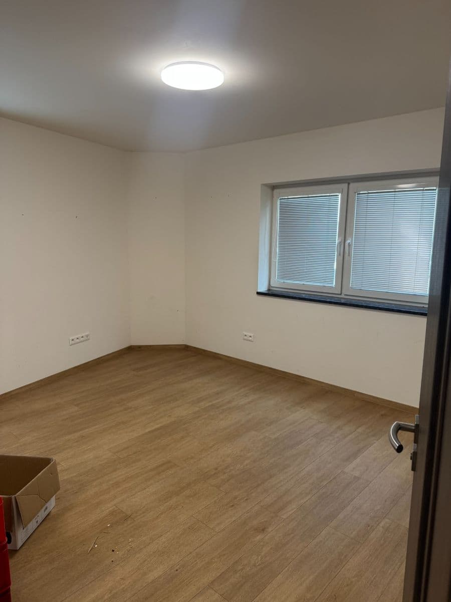 1 bedroom with open-plan kitchen flat to rent, 56 m², Pod Kaplí, Letonice, Jihomoravský Region 1 bedroom with open-plan kitchen flat to rent, 56 m², Pod Kaplí, Letonice, Jihomoravský Region