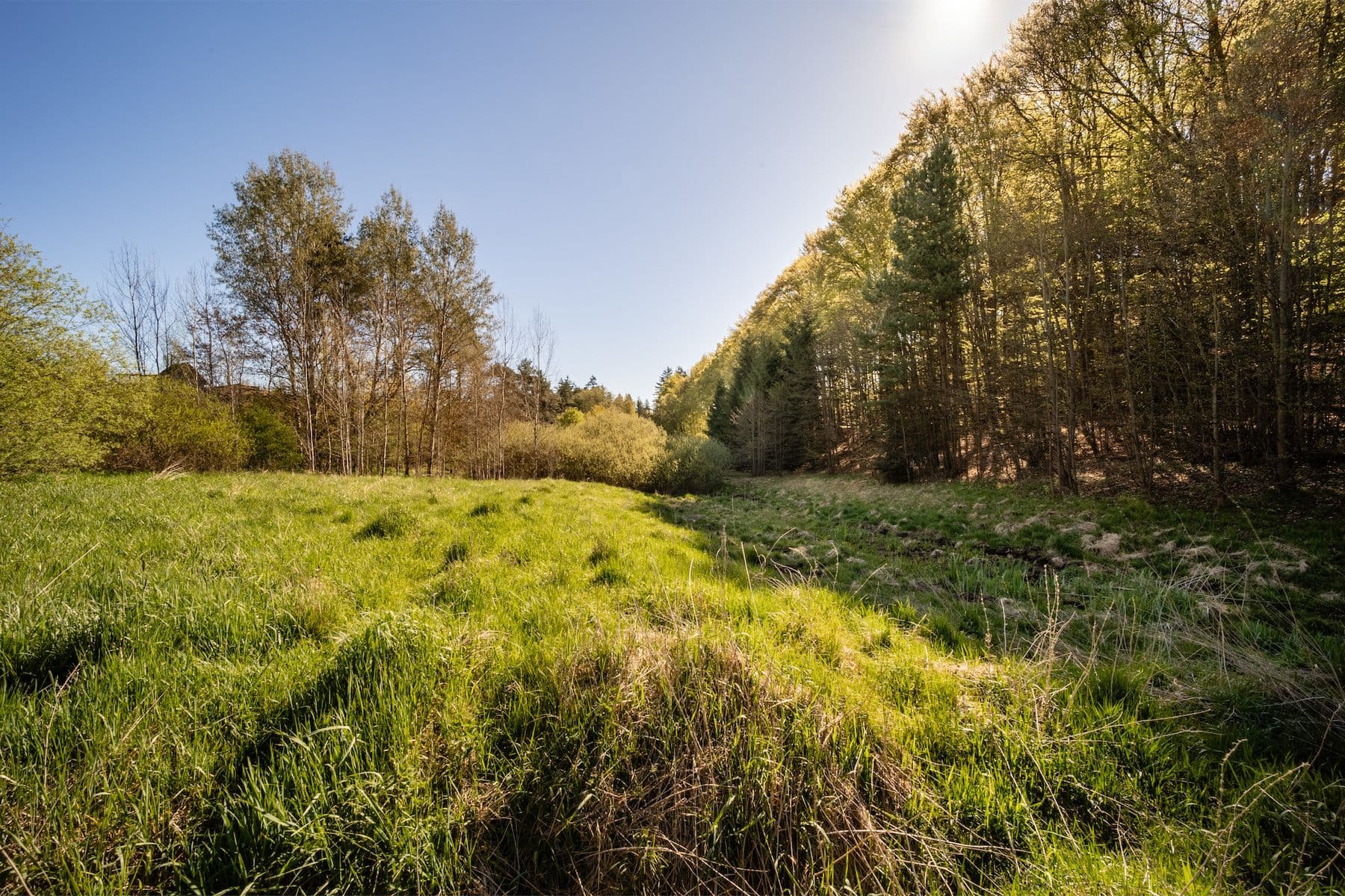 plot for sale, 4,684 m², Temešvár, Jihočeský Region plot for sale, 4,684 m², Temešvár, Jihočeský Region