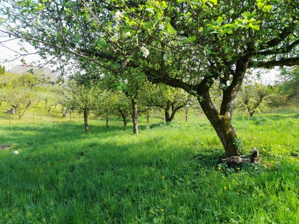 plot for sale, 2,321 m², Studnice, Královéhradecký Region plot for sale, 2,321 m², Studnice, Královéhradecký Region