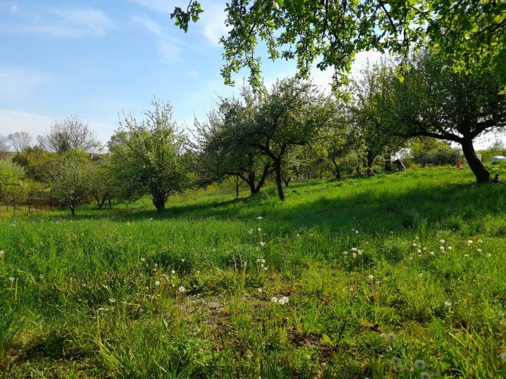 plot for sale, 2,321 m², Studnice, Královéhradecký Region plot for sale, 2,321 m², Studnice, Královéhradecký Region