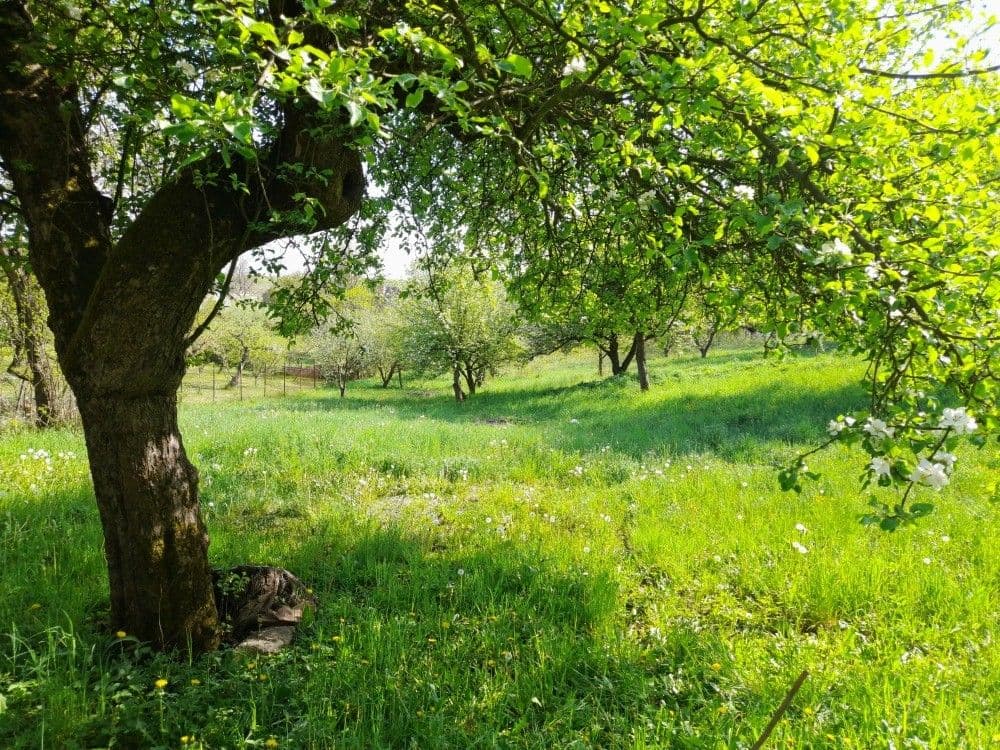 plot for sale, 2,321 m², Studnice, Královéhradecký Region plot for sale, 2,321 m², Studnice, Královéhradecký Region